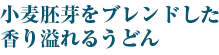 小麦胚芽を練りこんだ香り溢れるうどん